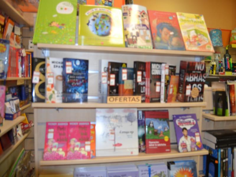 EL RINCON DE LA LECTURA en Rivas - Foto4