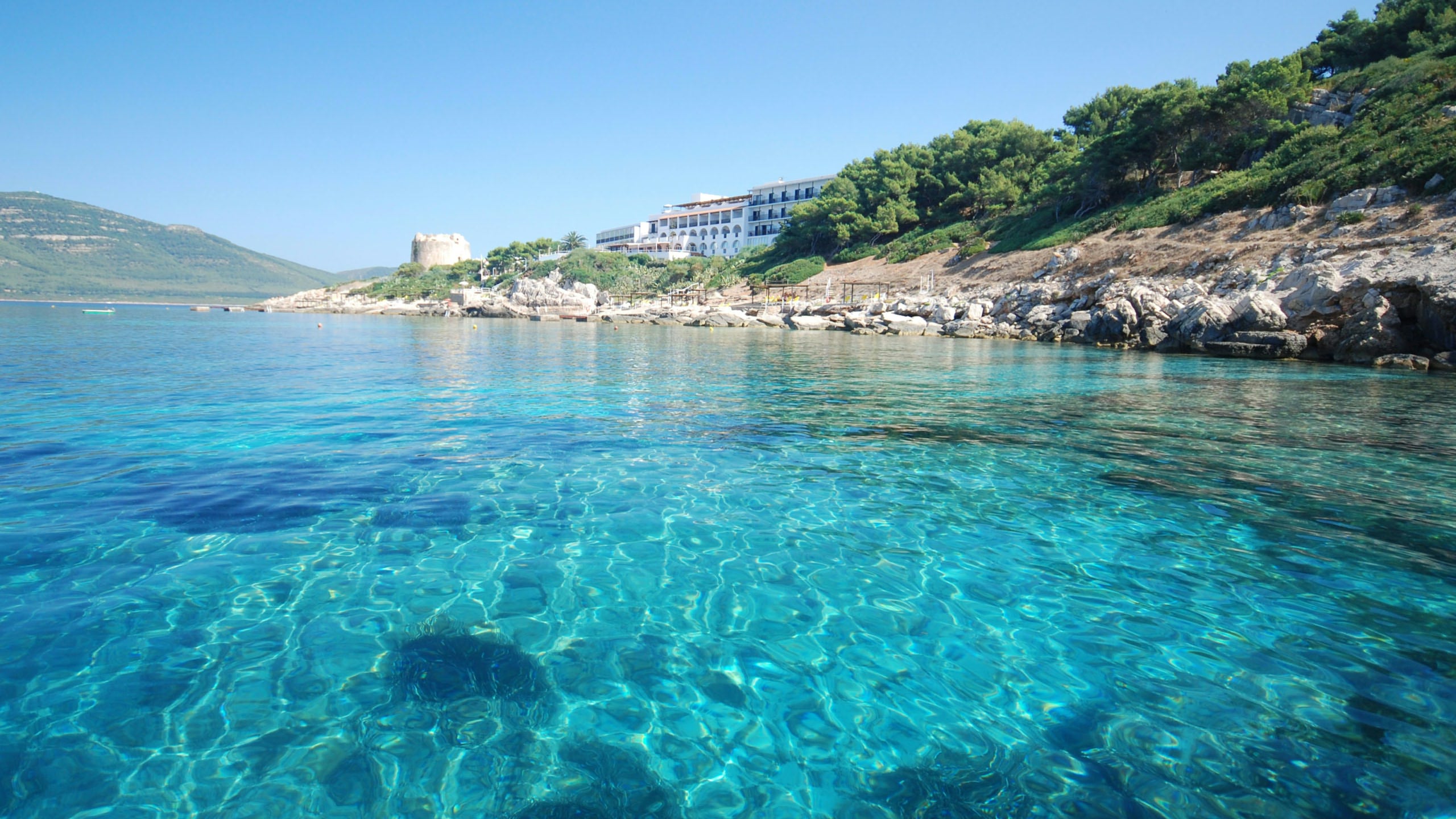 HALCON VIAJES en Rivas - Foto6