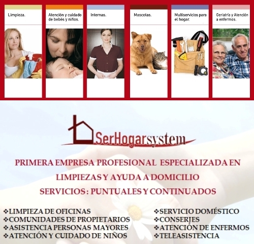 SerHogar System Rivas Vaciamadrid